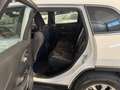 Jeep Cherokee Cherokee 2.2 Mjt Longitude Weiß - thumbnail 17