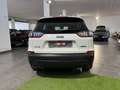 Jeep Cherokee Cherokee 2.2 Mjt Longitude Weiß - thumbnail 6
