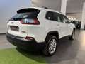 Jeep Cherokee Cherokee 2.2 Mjt Longitude Weiß - thumbnail 5