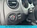 SEAT Altea XL Stylance / Style*DSG*ALU*NAVI*PDC*LED* Blue - thumbnail 13