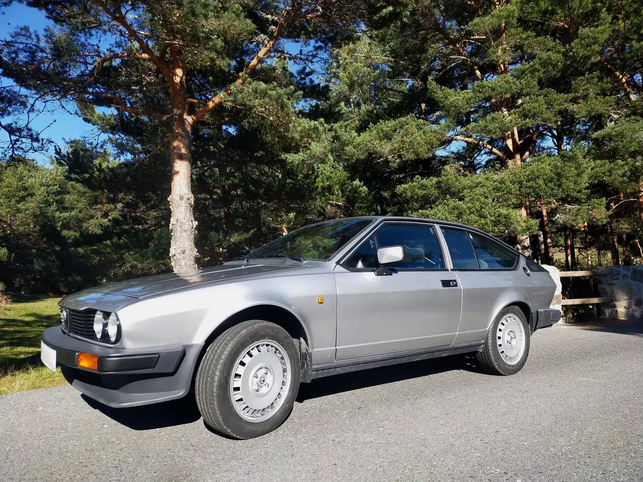 Alfa Romeo Alfetta GTV 2.0, foto 2
