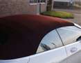 Mercedes-Benz S 500 Cabrio | Designo - Airscarf - 360 - HUD Wit - thumbnail 6