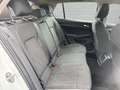 Volkswagen Golf VIII 1.5 eTSI DSG Style 3,99 AHK-klappbar Navi Dig Blanco - thumbnail 11
