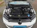 Volkswagen Golf VIII 1.5 eTSI DSG Style 3,99 AHK-klappbar Navi Dig Blanco - thumbnail 17