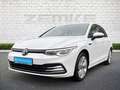 Volkswagen Golf VIII 1.5 eTSI DSG Style 3,99 AHK-klappbar Navi Dig Blanco - thumbnail 2