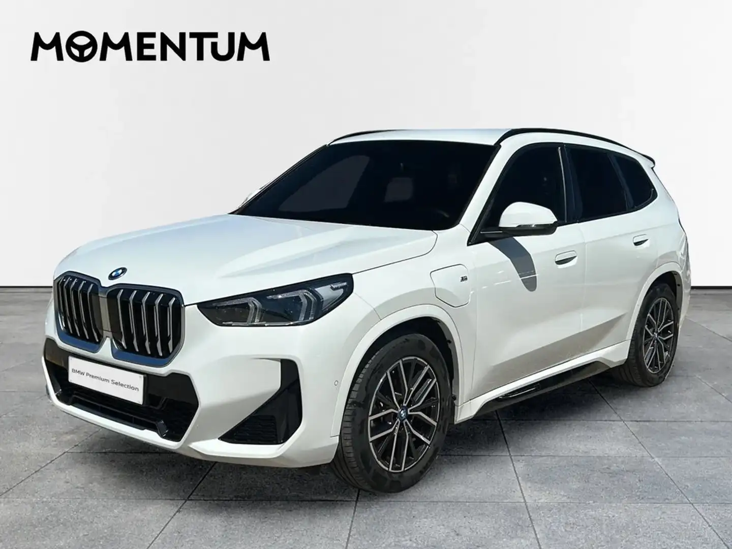BMW X1 xDrive25eA Blanco - 1