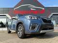 Subaru Forester Active LED Kamera AHK Lane Lenkradhzg Blau - thumbnail 23