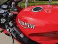 Triumph Daytona 900 Rojo - thumbnail 10