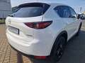 Mazda CX-5 Homura 2,2D 184PS *Automatik *AWD *HUD*NAVI Blanc - thumbnail 4
