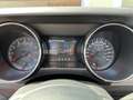 Ford Mustang Mustang 5,0 Ti-VCT V8 GT Cabrio Aut. GT Weiß - thumbnail 12