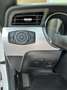 Ford Mustang Mustang 5,0 Ti-VCT V8 GT Cabrio Aut. GT Weiß - thumbnail 10