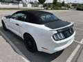 Ford Mustang Mustang 5,0 Ti-VCT V8 GT Cabrio Aut. GT Weiß - thumbnail 4