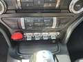Ford Mustang Mustang 5,0 Ti-VCT V8 GT Cabrio Aut. GT Weiß - thumbnail 14