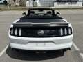 Ford Mustang Mustang 5,0 Ti-VCT V8 GT Cabrio Aut. GT Weiß - thumbnail 7