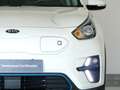 Kia Niro BEV 65KWH E-NIRO DRIVE 204 5P Weiß - thumbnail 10