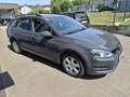 Volkswagen Golf Variant Golf VII Variant Trendline 1,6 TDI Grau - thumbnail 6