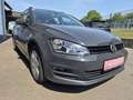 Volkswagen Golf Variant Golf VII Variant Trendline 1,6 TDI Grau - thumbnail 4