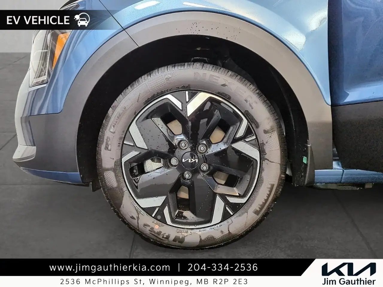 Kia Niro photo Kia Niro