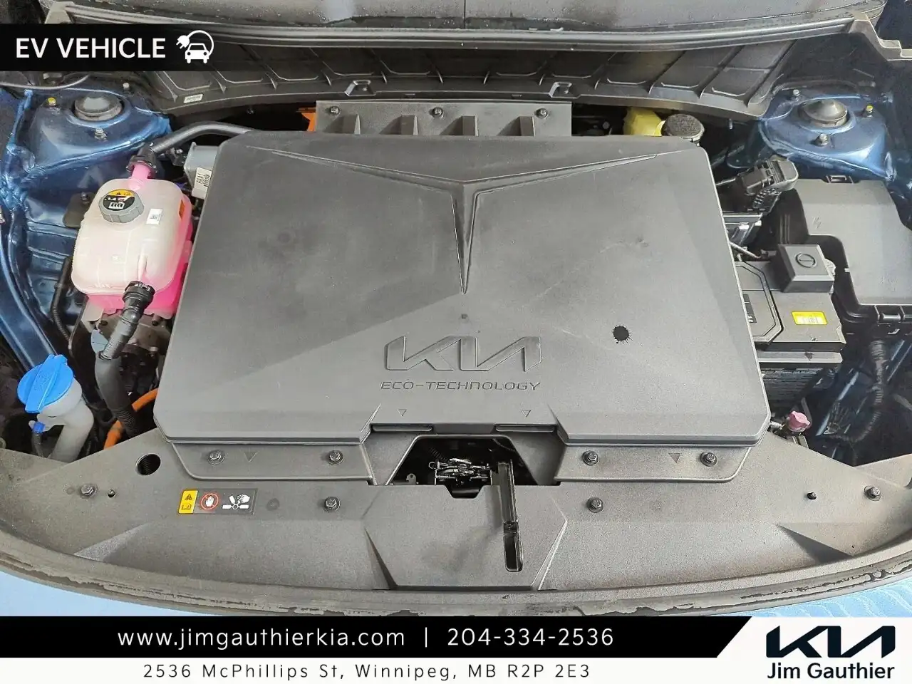 Kia Niro photo Kia Niro