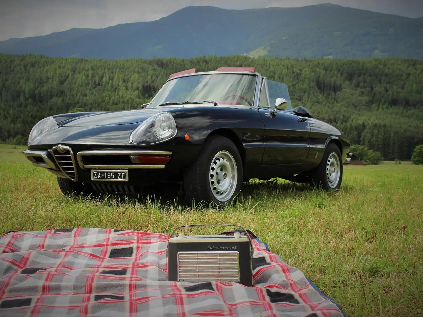 Alfa Romeo Sportwagon - 1
