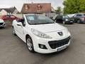 Renault Clio 1.5 DCI 70CH EXPRESSION Noir - thumbnail 1