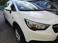 Opel Crossland X Crossland+X+1.2+Edition 110 PS, LHZ, SHZ, Scheck, Weiß - thumbnail 1