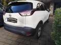 Opel Crossland X Crossland+X+1.2+Edition 110 PS, LHZ, SHZ, Scheck, Weiß - thumbnail 15