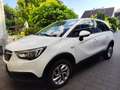 Opel Crossland X Crossland+X+1.2+Edition 110 PS, LHZ, SHZ, Scheck, Weiß - thumbnail 5