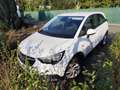 Opel Crossland X Crossland+X+1.2+Edition 110 PS, LHZ, SHZ, Scheck, Weiß - thumbnail 6
