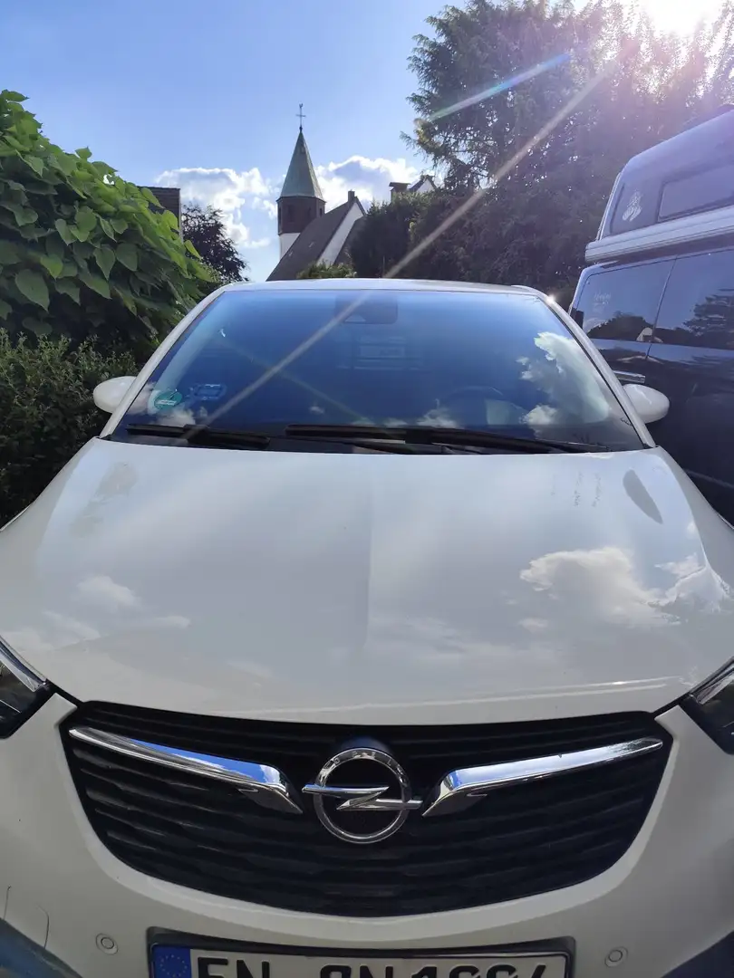 Opel Crossland X Crossland+X+1.2+Edition 110 PS, LHZ, SHZ, Scheck, Weiß - 2