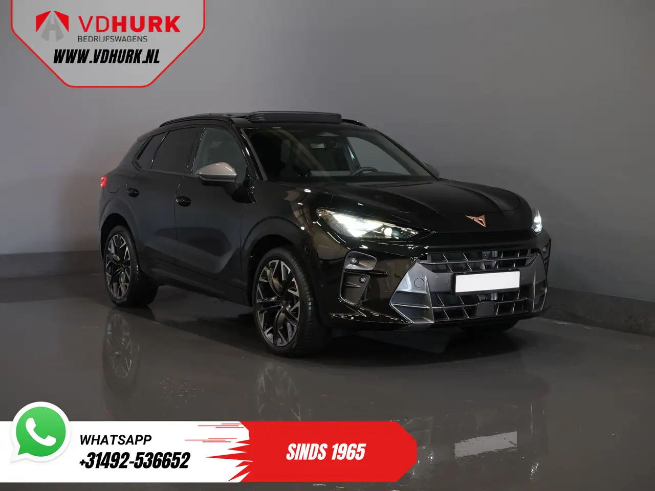 Cupra Terramar