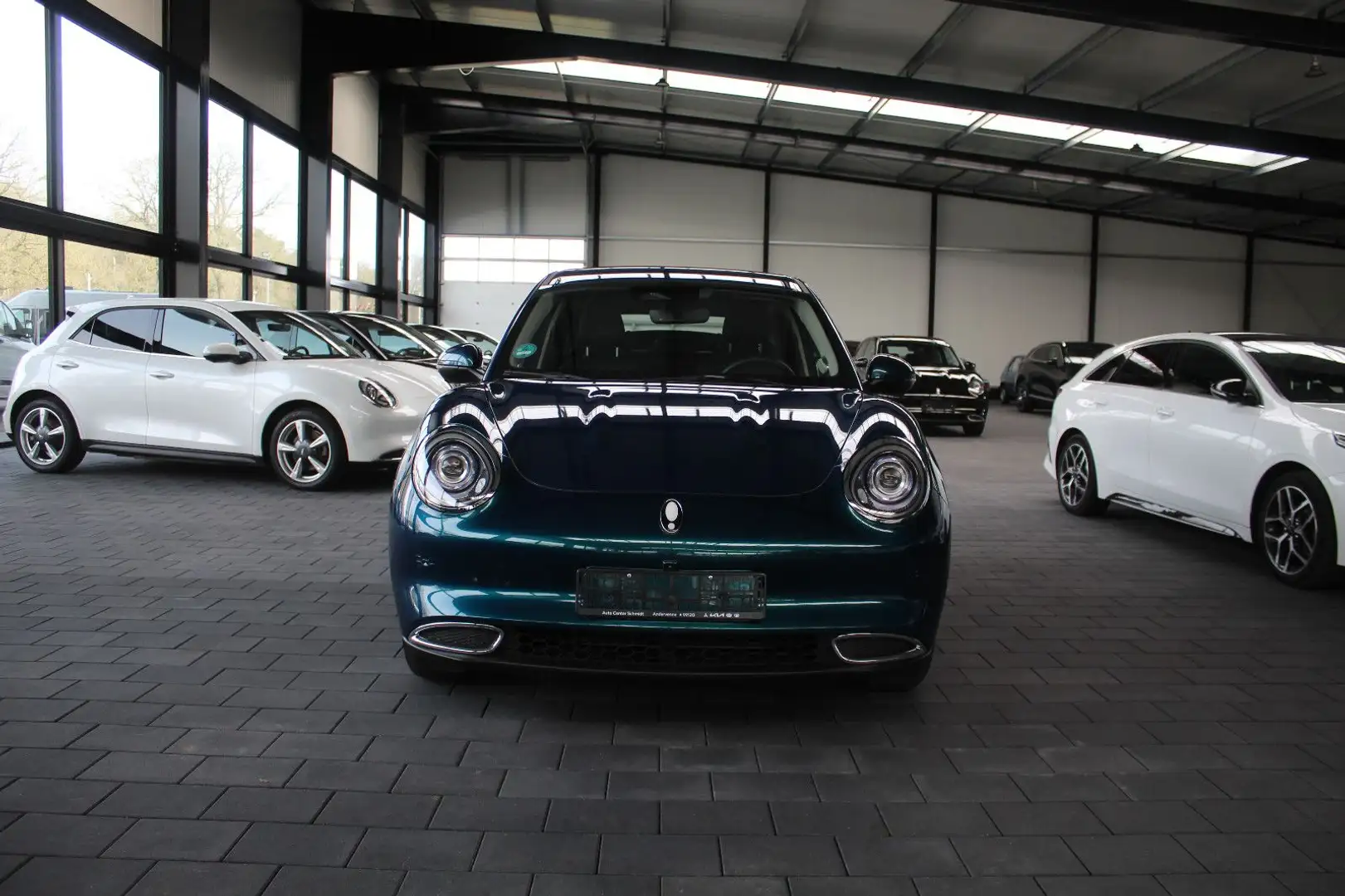 Ora Funky Cat Ora 03 400 PRO inkl. Wärmepumpe(Allwetter) Grün - 2