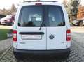 Volkswagen Caddy 1.6 TDI Weiß - thumbnail 5