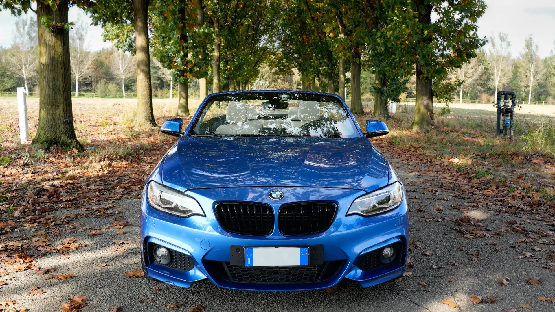 BMW 220 i Cabrio M Sport | Pelle Beige | Harman Kardon Blu/Azzurro - 2