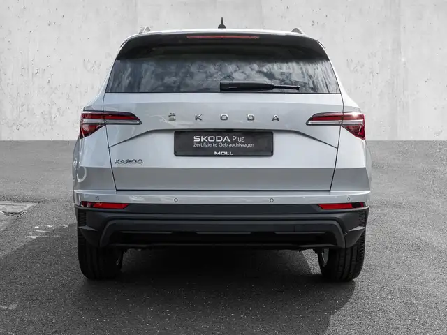 Skoda Karoq view 6