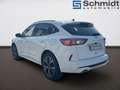 Ford Kuga 2,5 Duratec FHEV AWD ST-Line X Aut. Weiß - thumbnail 3