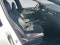 Ford Kuga 2,5 Duratec FHEV AWD ST-Line X Aut. Weiß - thumbnail 17