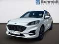 Ford Kuga 2,5 Duratec FHEV AWD ST-Line X Aut. Weiß - thumbnail 1