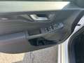 Ford Kuga 2,5 Duratec FHEV AWD ST-Line X Aut. Weiß - thumbnail 21