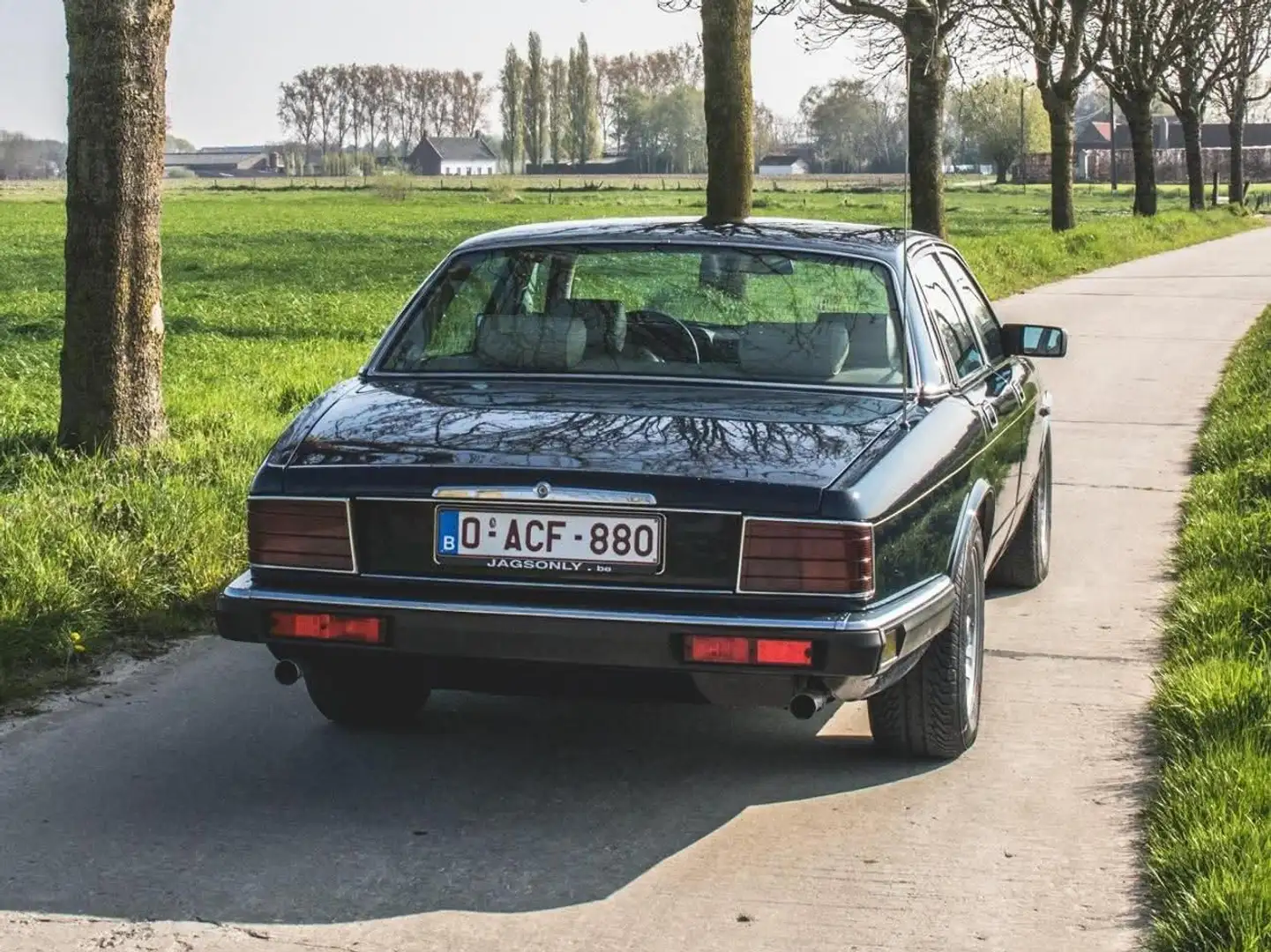 Jaguar XJ40 4.0l Blauw - 1