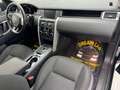 Land Rover Discovery Sport Discovery Sport I 2.0 td4 HSE Luxury 150CV Noir - thumbnail 18