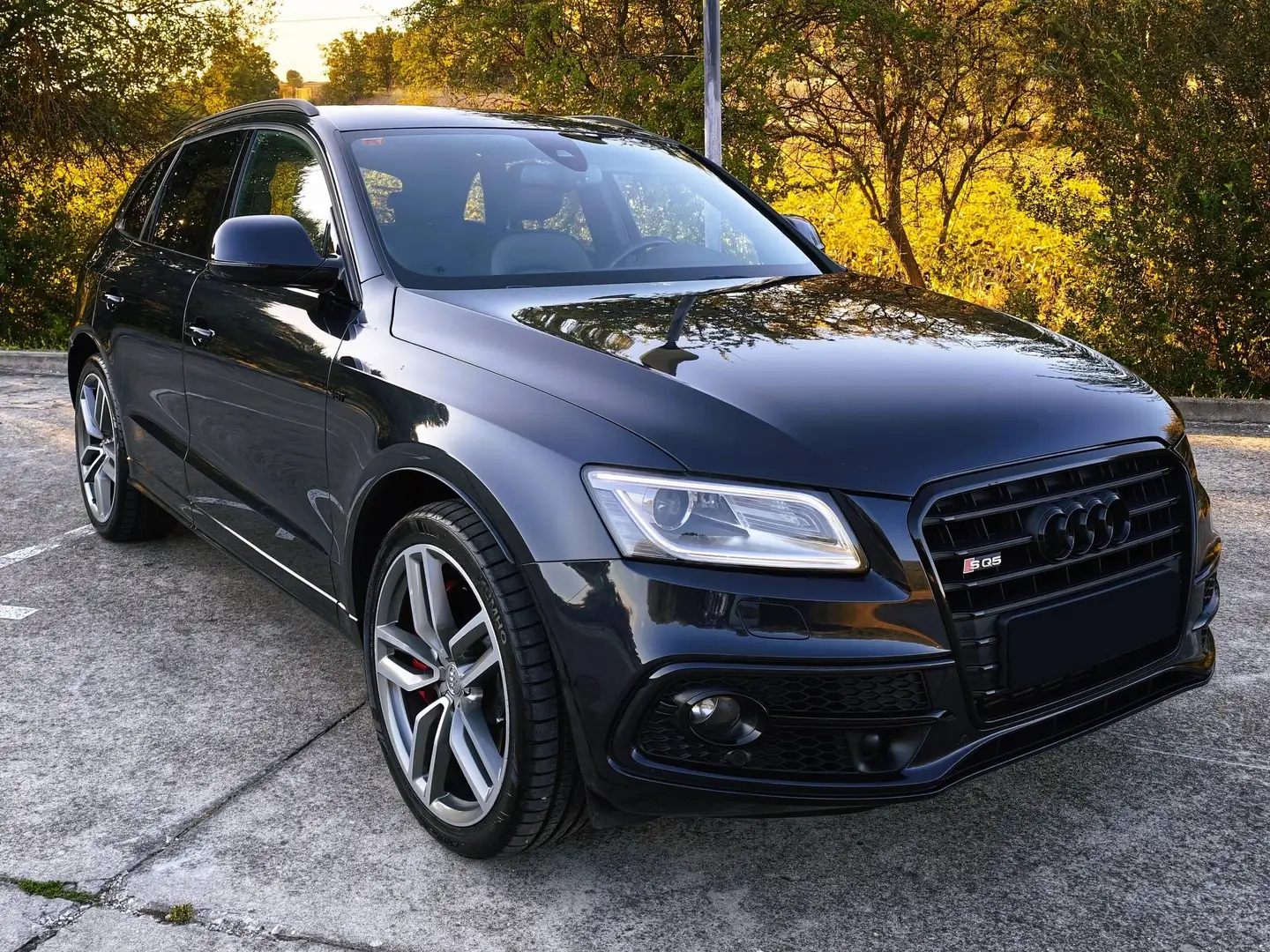Audi SQ5 SQ5 3.0TDI quattro Tiptronic 313 Azul - 2