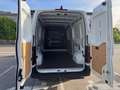 Nissan Interstar L3H2 3,5 dCi - N-Connecta AHK, BA, LRB Blanc - thumbnail 9