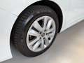 Renault Megane Megane Sporter 1.5 blue dci 115cv edc Blanc - thumbnail 8