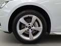 Audi A4 Advanced 40 TDI quattro 150(204) kW(PS) Weiß - thumbnail 20
