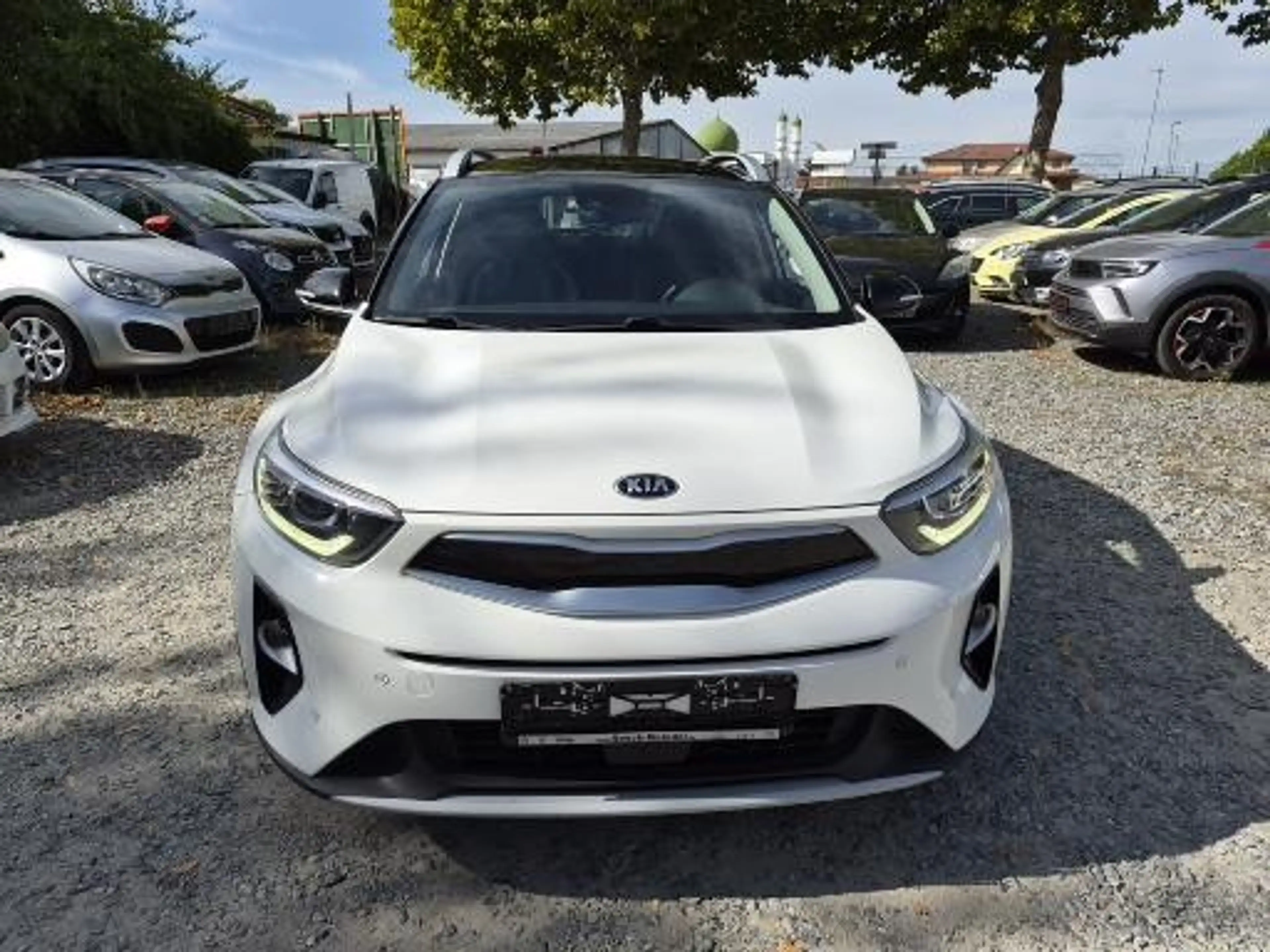 Kia Stonic Stonic 1.0 T-GDI DCT OPF Vision Automatik