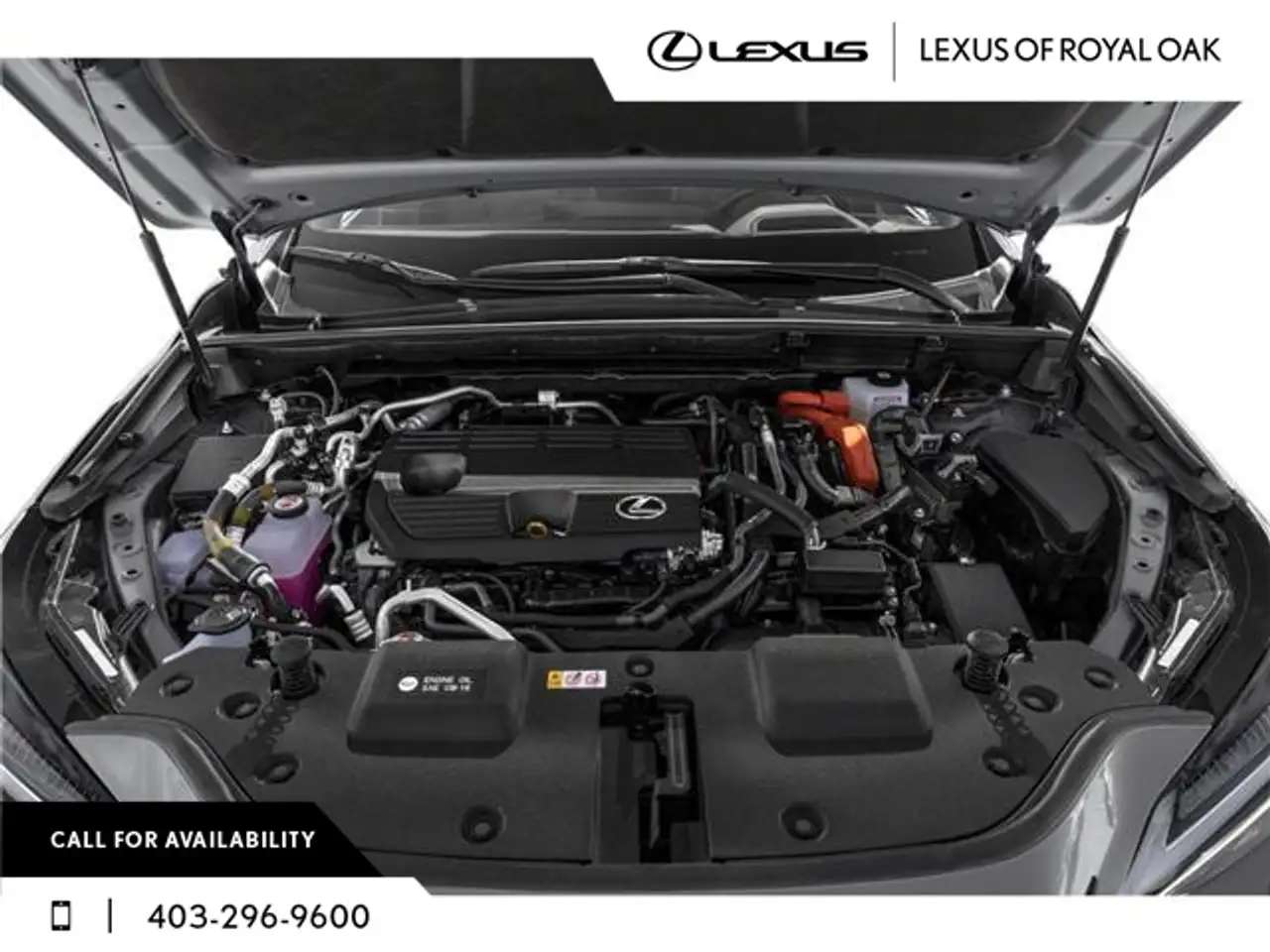 Lexus NX photo Lexus NX