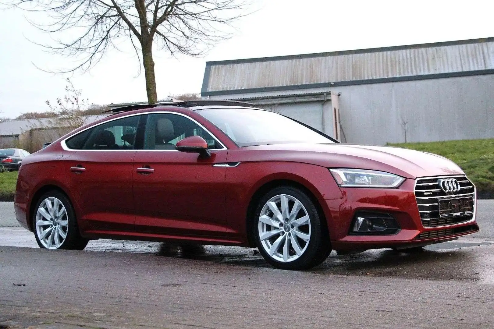 Audi A5 Sportback 2.0 TFSI quattro / Traumausstattung Rouge - 2