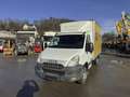 Iveco Dayli 35C15L Koffer 3,5 T Klima Tempomat AHK - thumbnail 11