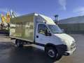 Iveco Dayli 35C15L Koffer 3,5 T Klima Tempomat AHK - thumbnail 13
